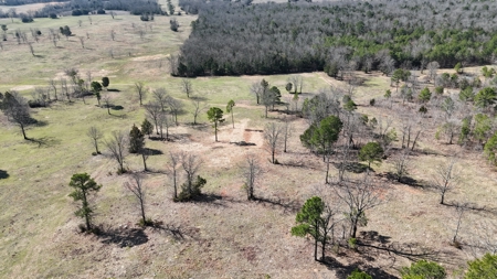 Lakeview Property For Sale - Sardis Lake Yanush, OK. - image 3