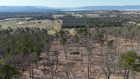 Lakeview Property For Sale - Sardis Lake Yanush, OK. - image 5