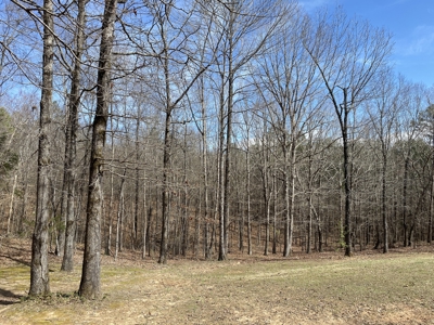 Cabin For Sale On Acreage In Tn, Shop, Sheds, Hunting - image 44