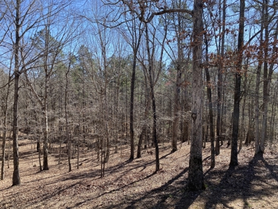 Cabin For Sale On Acreage In Tn, Shop, Sheds, Hunting - image 46