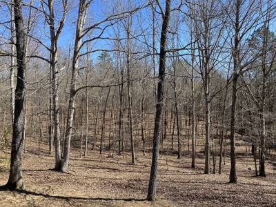 Cabin For Sale On Acreage In Tn, Shop, Sheds, Hunting - image 43