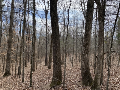 Cabin For Sale On Acreage In Tn, Shop, Sheds, Hunting - image 47