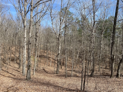 Cabin For Sale On Acreage In Tn, Shop, Sheds, Hunting - image 45