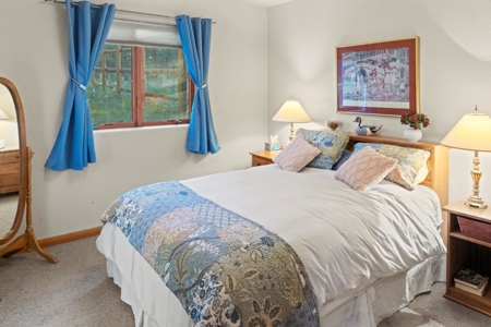 Your Perfect Move-In-Ready Mountain Retreat Awaits in Ridgway, Colorado! - image 18