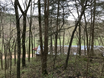 Small acreage with creek for sale in Ava Mo - image 8