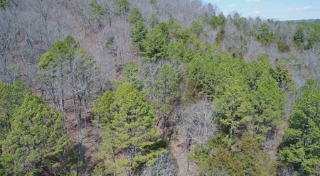 Small acreage with creek for sale in Ava Mo - image 17