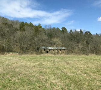 Small acreage with creek for sale in Ava Mo - image 6