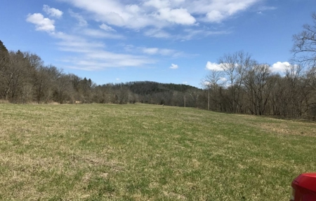 Small acreage with creek for sale in Ava Mo - image 15