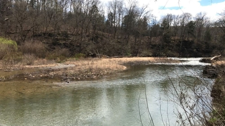 Small acreage with creek for sale in Ava Mo - image 13