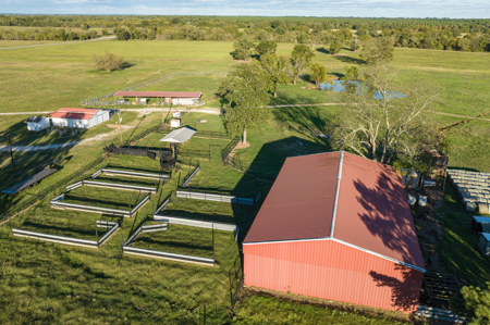 Turn-Key Cattle Ranch For Sale in NE TX - image 21