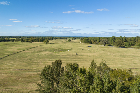 Turn-Key Cattle Ranch For Sale in NE TX - image 8
