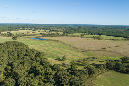Turn-Key Cattle Ranch For Sale in NE TX - image 5