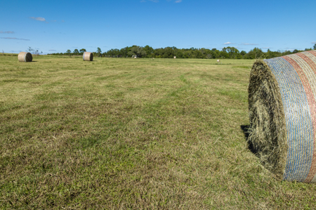 Turn-Key Cattle Ranch For Sale in NE TX - image 13