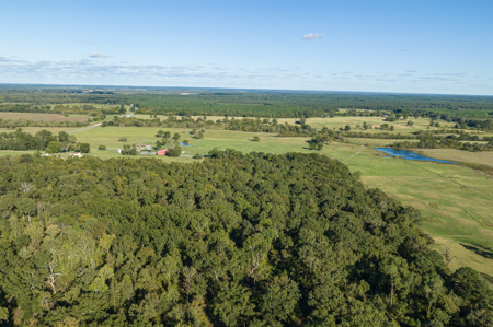 Turn-Key Cattle Ranch For Sale in NE TX - image 7