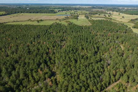 Turn-Key Cattle Ranch For Sale in NE TX - image 4