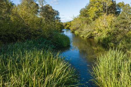Turn-Key Cattle Ranch For Sale in NE TX - image 31