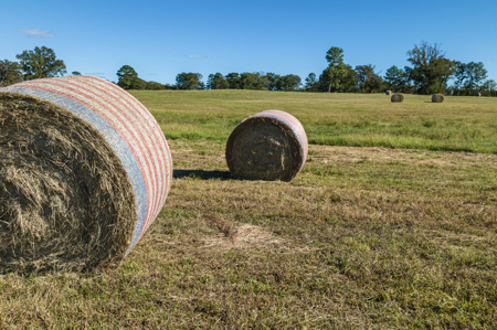 Turn-Key Cattle Ranch For Sale in NE TX - image 15