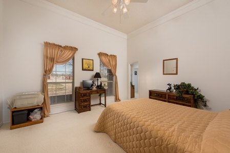Turn-Key Cattle Ranch For Sale in NE TX - image 40
