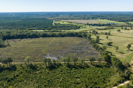 Turn-Key Cattle Ranch For Sale in NE TX - image 9