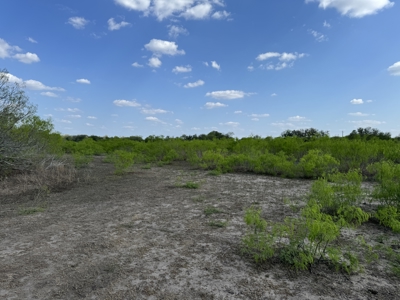King Lane & CR 106 - 10.00 Acres | Bee County, TX - image 16
