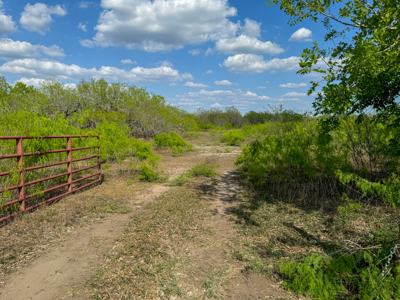 King Lane & CR 106 - 10.00 Acres | Bee County, TX - image 1