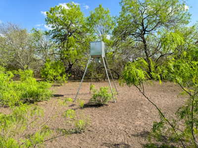 King Lane & CR 106 - 10.00 Acres | Bee County, TX - image 2