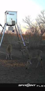 King Lane & CR 106 - 10.00 Acres | Bee County, TX - image 22