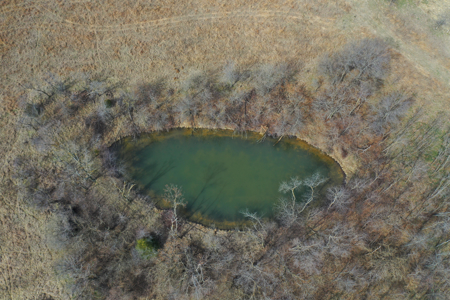 Hunting land with CRP Income for sale - image 3