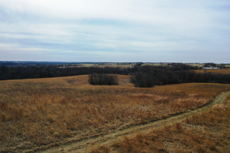 Hunting land with CRP Income for sale - image 7