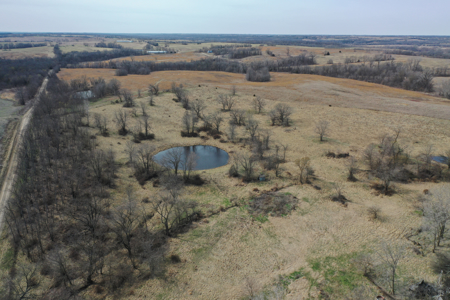 Hunting land with CRP Income for sale - image 2