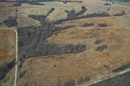 Hunting land with CRP Income for sale - image 5
