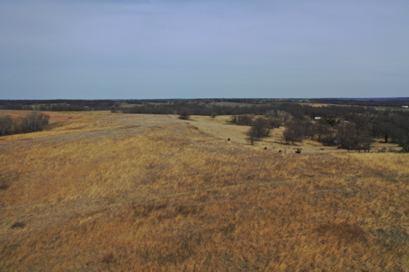 Hunting land with CRP Income for sale - image 4