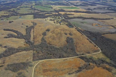 Hunting land with CRP Income for sale - image 8