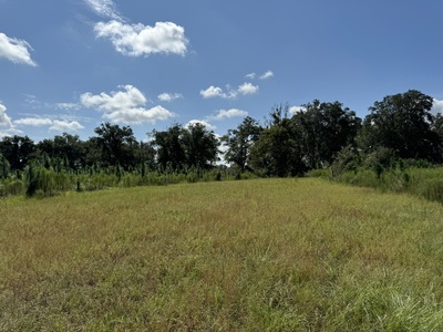 239.5 Acres For Sale In Fort White Florida - image 4