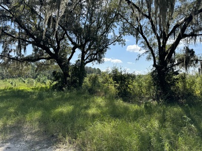 239.5 Acres For Sale In Fort White Florida - image 9