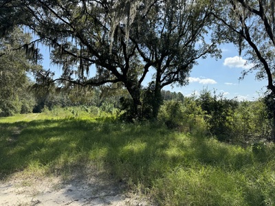 239.5 Acres For Sale In Fort White Florida - image 8