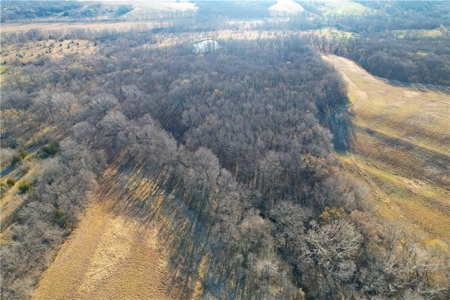 160-Acre Gentry County MO: Investment Opportunity w/ Recreation - image 21