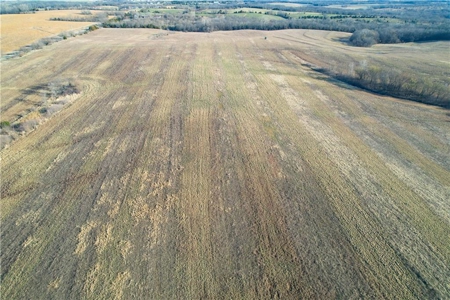 160-Acre Gentry County MO: Investment Opportunity w/ Recreation - image 23