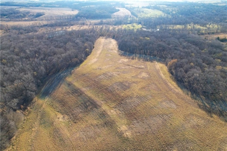 160-Acre Gentry County MO: Investment Opportunity w/ Recreation - image 4