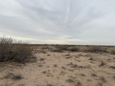 Land for Sale in Deming New Mexico - image 4