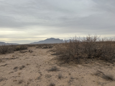 Land for Sale in Deming New Mexico - image 13