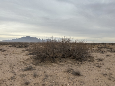 Land for Sale in Deming New Mexico - image 2