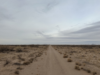 Land for Sale in Deming New Mexico - image 6