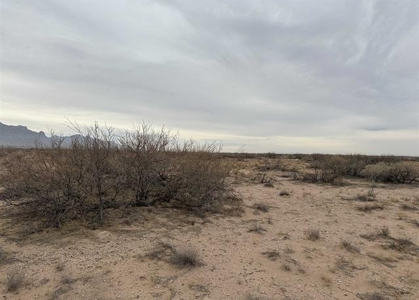 Land for Sale in Deming New Mexico - image 1