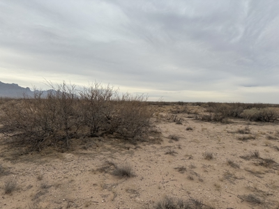 Land for Sale in Deming New Mexico - image 3