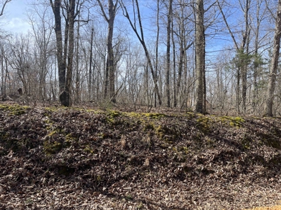 Wooded Land For Sale In Hardin County Tn, 11 Acres - image 12