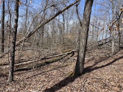Wooded Land For Sale In Hardin County Tn, 11 Acres - image 18
