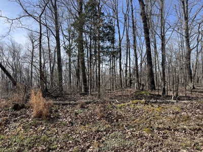 Wooded Land For Sale In Hardin County Tn, 11 Acres - image 10