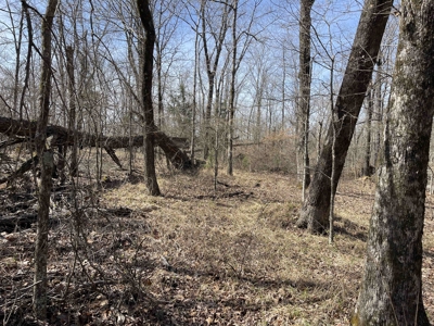 Wooded Land For Sale In Hardin County Tn, 11 Acres - image 9