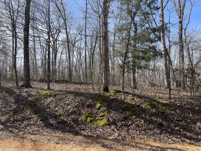 Wooded Land For Sale In Hardin County Tn, 11 Acres - image 6
